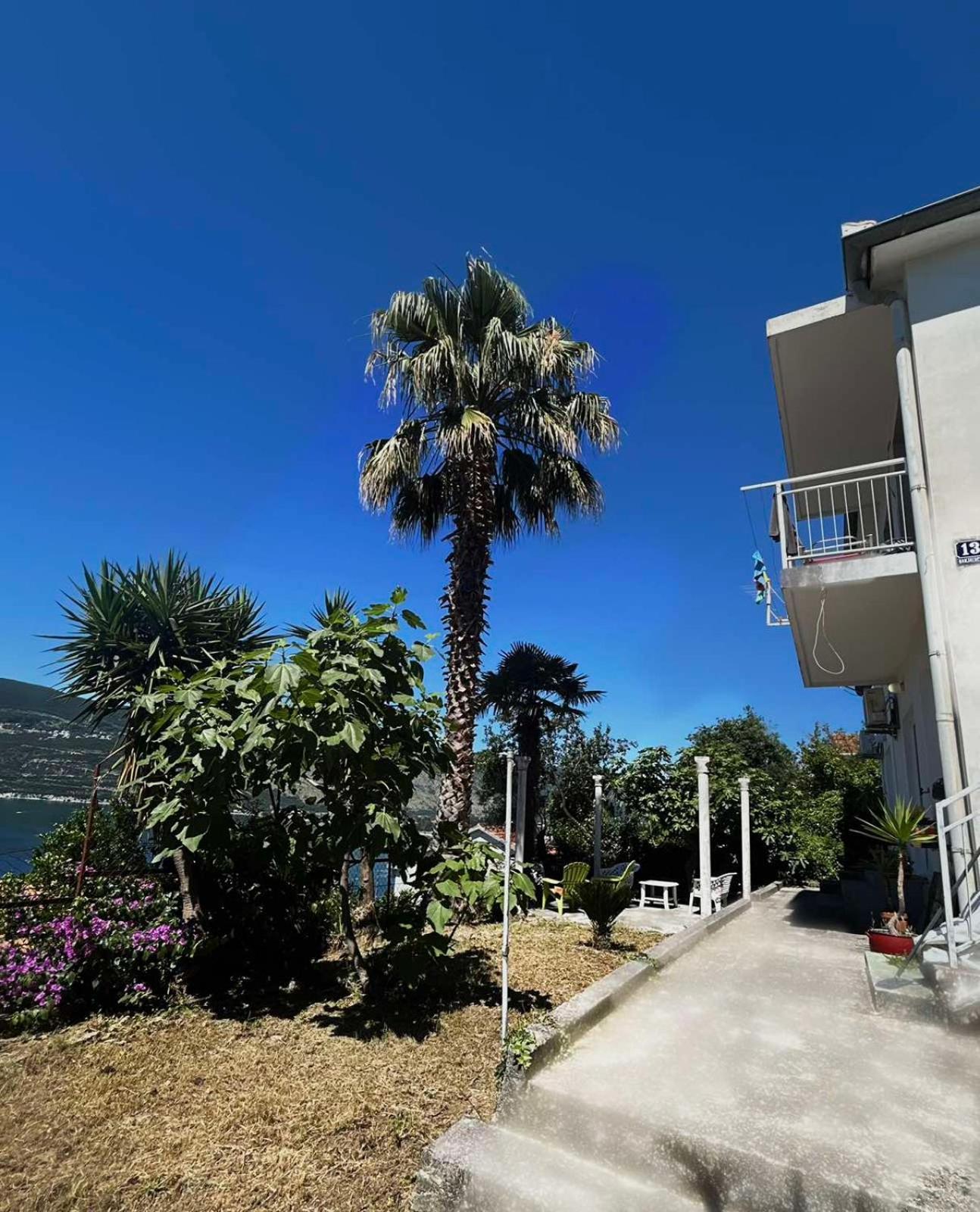 Apartments Maya Herceg Novi Buitenkant foto
